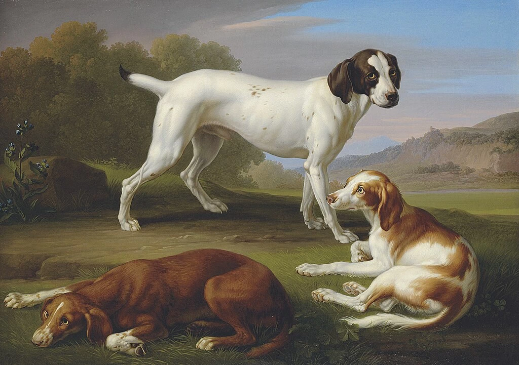 Un pointer e due setter in un paesaggio classico